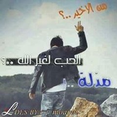 سيد