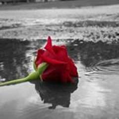 Eman Ragab