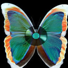 VinylButterfly