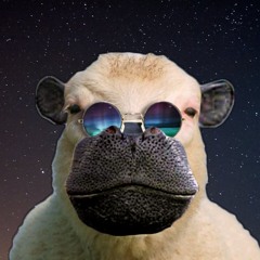 Sheep Hopotame