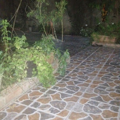Fayçal BELAID