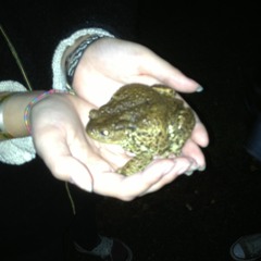 alex juicer [ALXJCR]