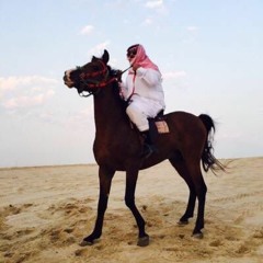 الطفل المعجزة الباكستاني (أسامة زهري )صوت جميل قرأن كريم