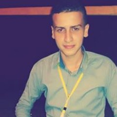 Mahmoud Yahiea Altahawy