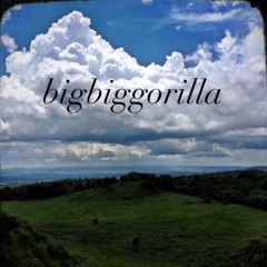 bigbiggorilla