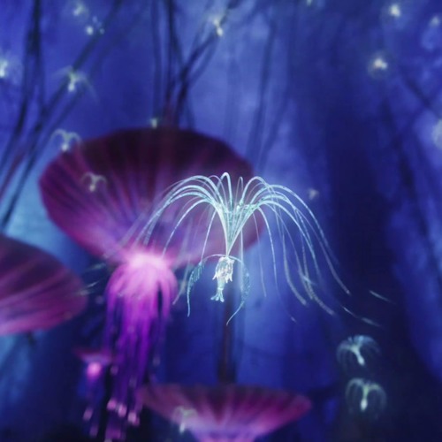 Stream Eywa Music Listen To Songs Albums Playlists For Free On