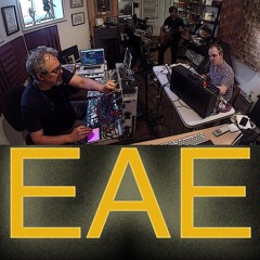 Electronic Art Ensemble (EAE)