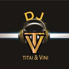 dj vini