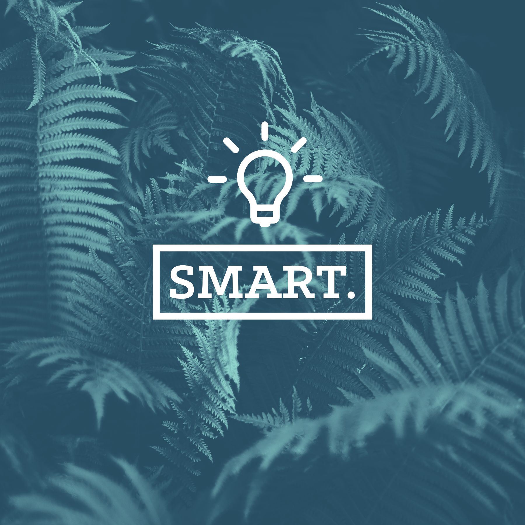 Smart