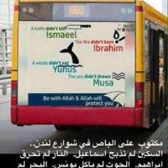 علاء احمد