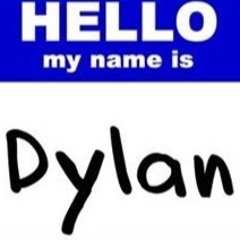 Dylan 9545
