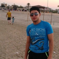 ahmed m zidan