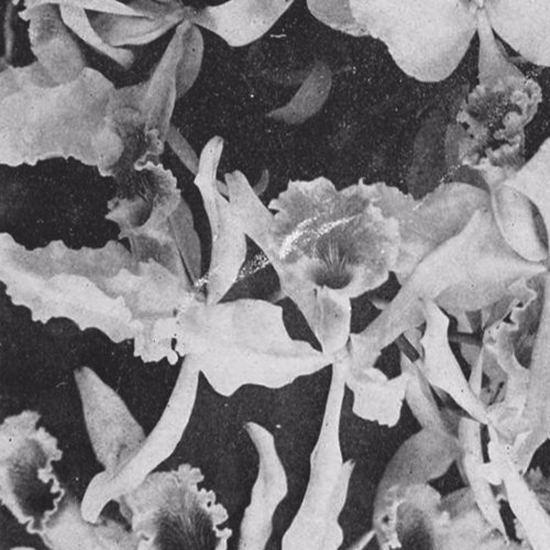 Stream ZXVXZ music | Listen to songs, albums, playlists for free