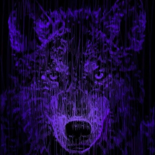 Noisy wolf’s avatar