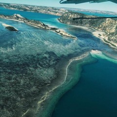 clairetuckermorrison