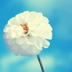 User 741662388