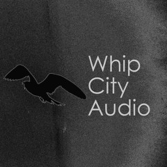 Whip City Audio