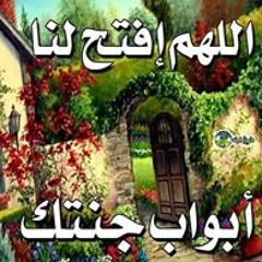Engy AbdElmordy Moussa