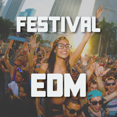 Festival EDM