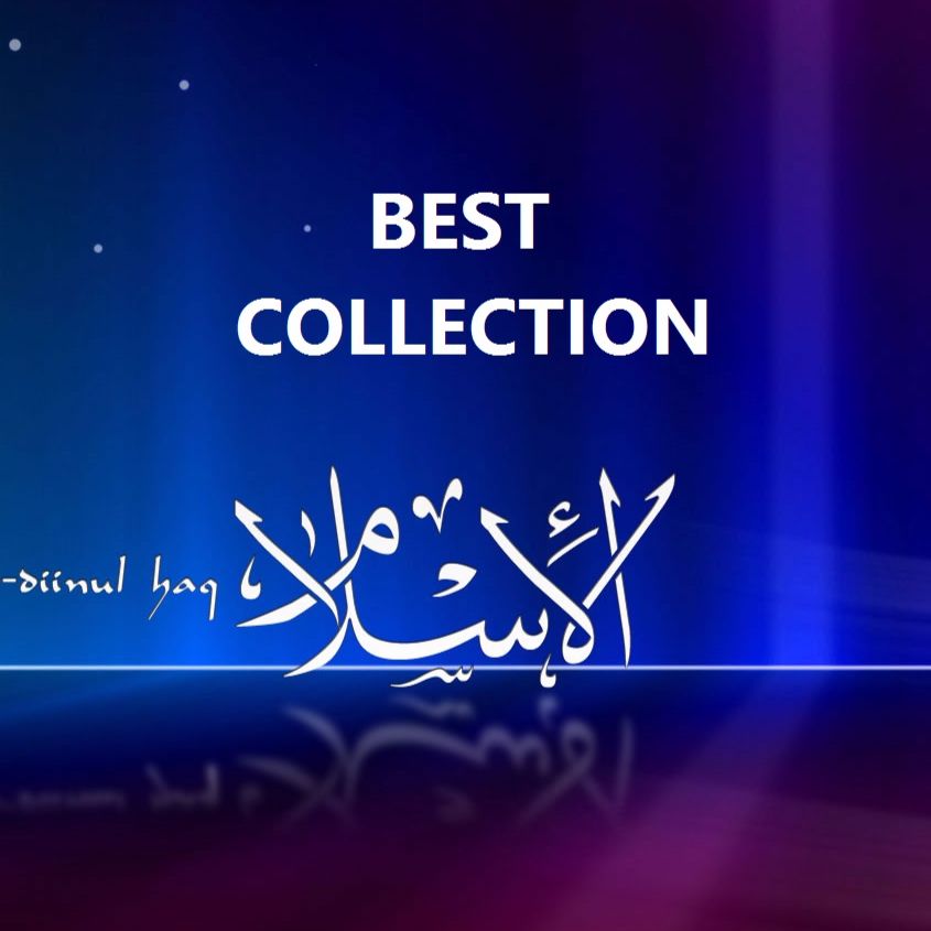 BestCollection