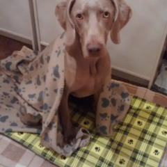 Bernadette Gallacher