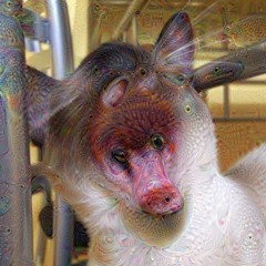 cyperro