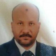 Hassan Saleh