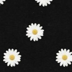 a million daisies