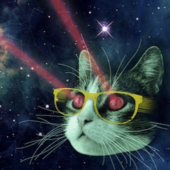 cats in space