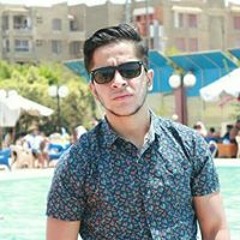 Amr S Omara