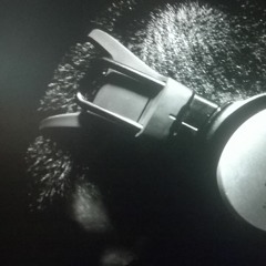 MusikLabel HHRecords