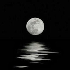 phong kinh doanh z76