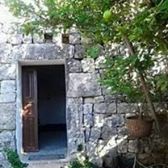 Roola Faraj