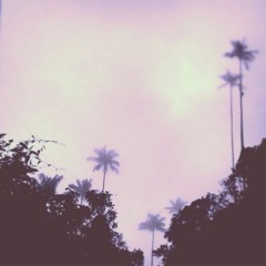 Kraut Cosmic