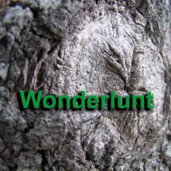 Wonderlunt