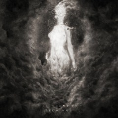 The Noumenon
