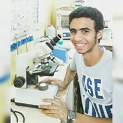 الشيخ إسلام العربي