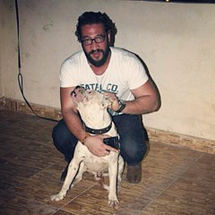 Boodi Hesham