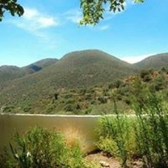 ميرغني منداح