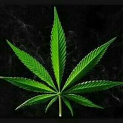 ابونديم العنزي