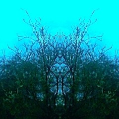 Month of The Magnetic