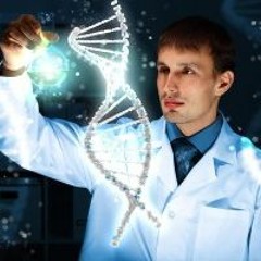 P THE SCIENTIST