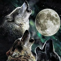 ShadoWolf