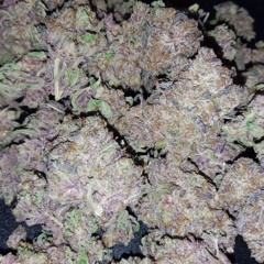 PurpleSpaceCookies