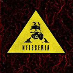 Neisseria Metal Band