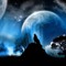 Moon Wolf