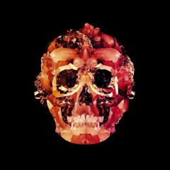 Mantas Steponavicius