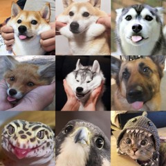 Touhou - Night Of Nights