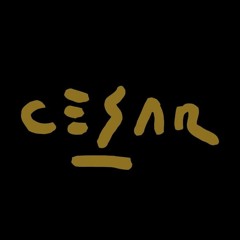 Cesar Costanzo Esencia Visual