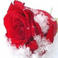 المصونه الحلوه